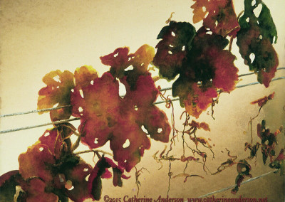 Grapevines and Vineyards : Another Day Begins, 30”x22” painting of autumn leaves on a grape vine. Watercolor painting by Catherine Anderson, AWS