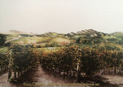Watercolor Landscapes : Carneros Region, Watercolor painting of the Carneros wine growing region in California by Catherine Anderson, AWS