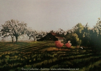 Grapevines and Vineyards : Watercolor painting of a vineyard with two cherry trees in bloom and an egret flying over, by Catherine Anderson, AWS