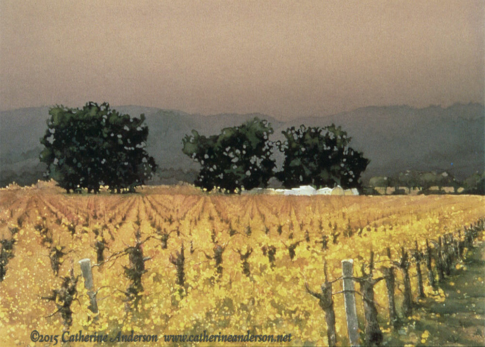 Catherine Anderson, AWS : Watercolor Q & A : Grapevines and Vineyards : Fields of Gold, 30” x 22” Watercolor painting of golden vineyards with dark green trees by Catherine Anderson, AWS