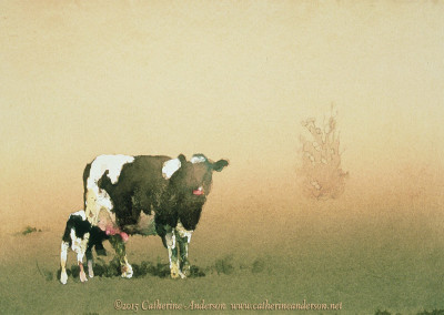 Cows and Livestock Paintings : Got Milk?, 30” x 22” Watercolor painting of a black and white coa with calf by Catherine Anderson, AWS