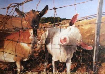 Contact Catherine Anderson : Cows and Livestock Paintings : Hello, 30” x 22” Watercolor painting of a goat and a sheep reaching through a fence to greet the viewer of the painting by Catherine Anderson, AWS