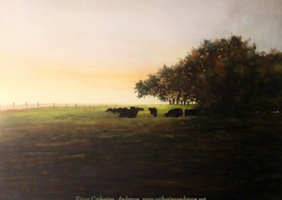 Cows and Livestock Paintings : Masters of the Field, 30” x 22” watercolor painting of black cows lying down in a pasture with large tree by Catherine Anderson, AWS