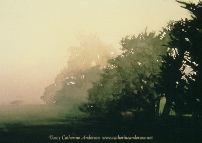 Catherine Anderson, AWS : Watercolor Landscapes : Rainy Days, 30" x 22" Watercolor painting of windblown trees in a rainstorm by Catherine Anderson, AWS