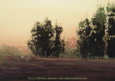 Cows and Livestock Paintings : Sonoma 30” x 22” Watercolor painting of a horse farm with tall trees and three horses in a pasture by Catherine Anderson, AWS