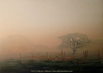 Creating Multiple Glazes in Your Watercolors Creating Multiple Glazes in Your Watercolors DVD : Watercolor Landscapes : Tree Spirit 30” x 22” Watercolor painting of a tree in fog by Catherine Anderson, AWS