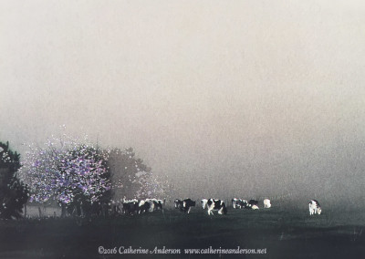 Creating Multiple Glazes in Your Watercolors Creating Multiple Glazes in Your Watercolors DVD : Cows and Livestock paintings : Cherry Blossom Time, 30” x 22” Watercolor painting of black and white cows in a predominantly grey landscape with one blooming cherry tree in full color by Catherine Anderson, AWS.