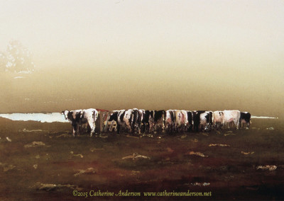 Cows and Livestock Paintings : Cow Butts, 30" x 22" Watercolor painting of a row of black and white milk cows in a pasture from behind by Catherine Anderson, AWS