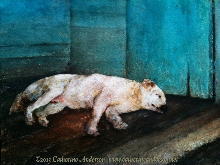 Manana, 20" x 24" Watercolor painting of a sleeping dog by Catherine Anderson, AWS