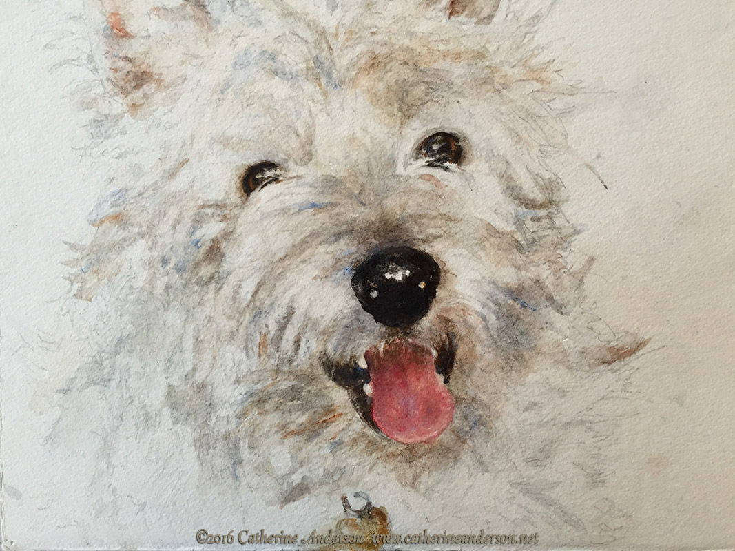 Catherine Anderson, AWS Pet portraits : Portrait of Emily, Pet portrait of a West Highland White Terrier in watercolor. Painting by Catherine Anderson, AWS
