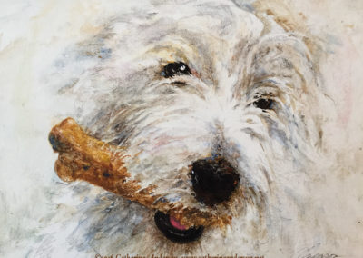 Pet Portraits by Catherine Anderson, AWS : Knick Knack Patty Whack, Pet portrait of a dog with a bone in its mouth in watercolor. Painting by Catherine Anderson, AWS