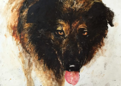 Pet Portraits by Catherine Anderson, AWS : Portrait of Rusty, Pet portrait of a dog in watercolor. Painting by Catherine Anderson, AWS